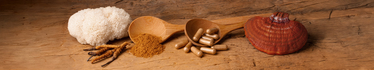 Hericium, Reishi und Kapseln in Vitalpilzmischungen