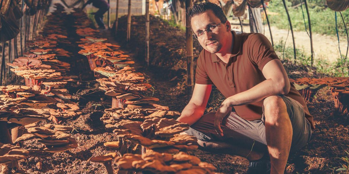 Benjamin Hawlik auf einer Reishi Farm im Chinesischen Hochland