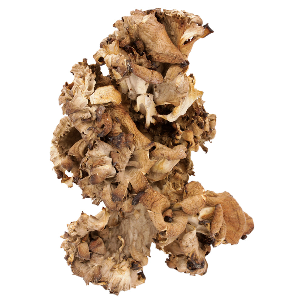 Getrocknete Pilze Maitake