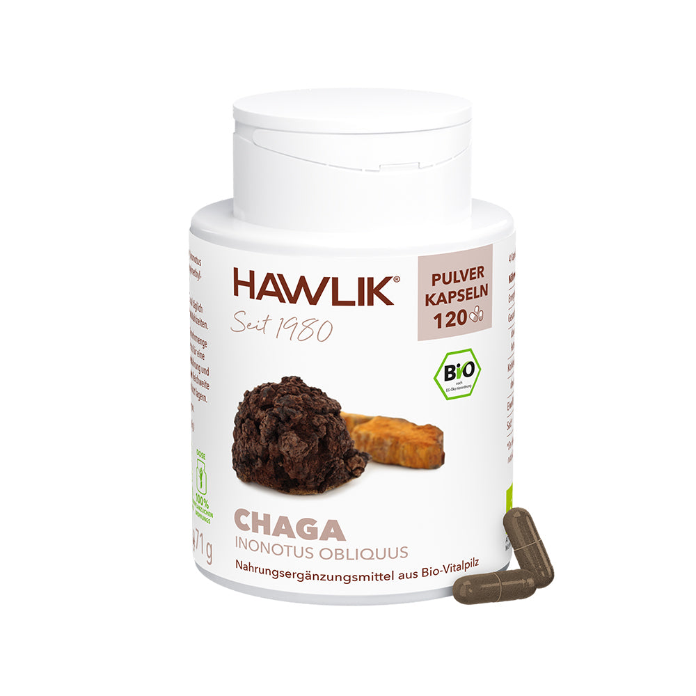 Dose Hawlik Chaga 120 Pulver Kapseln