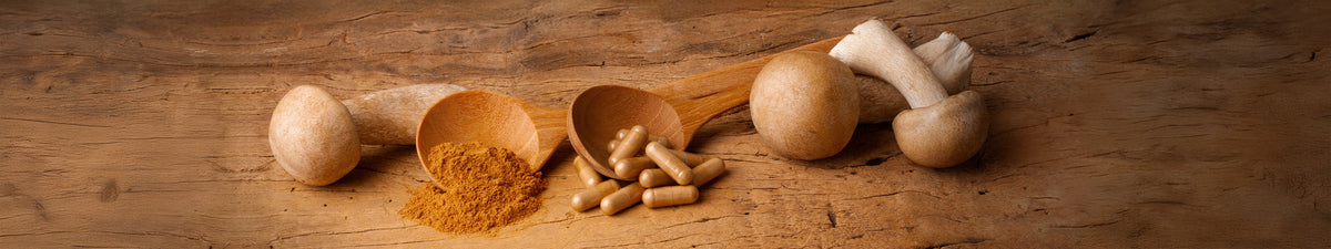Vitalpilz Agaricus