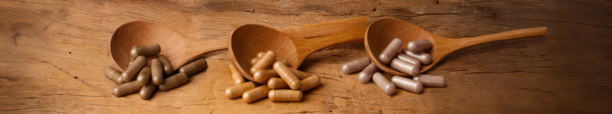 Vitalpilz Extrakt Kapseln