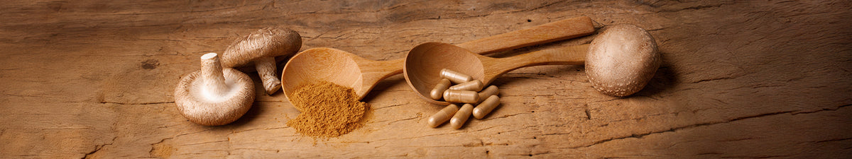 Vitalpilz Shiitake