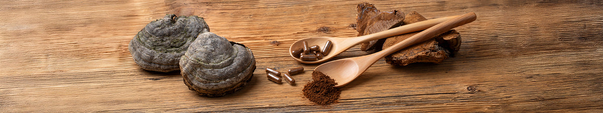 Vitalpilz Zunderschwamm mit Löffel für Kapseln und Pulver