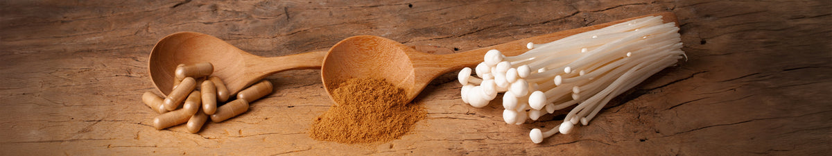 Vitalpilz Enoki