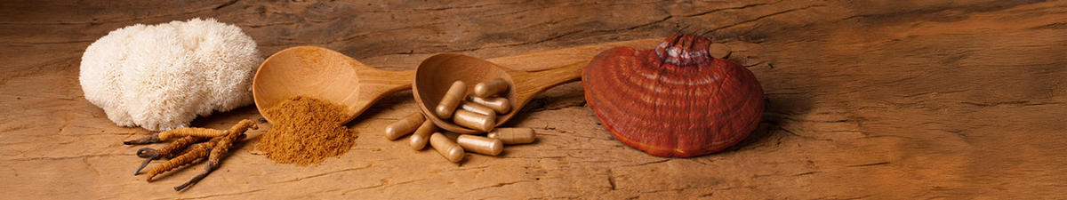 HAWLIK Vitalpilze
