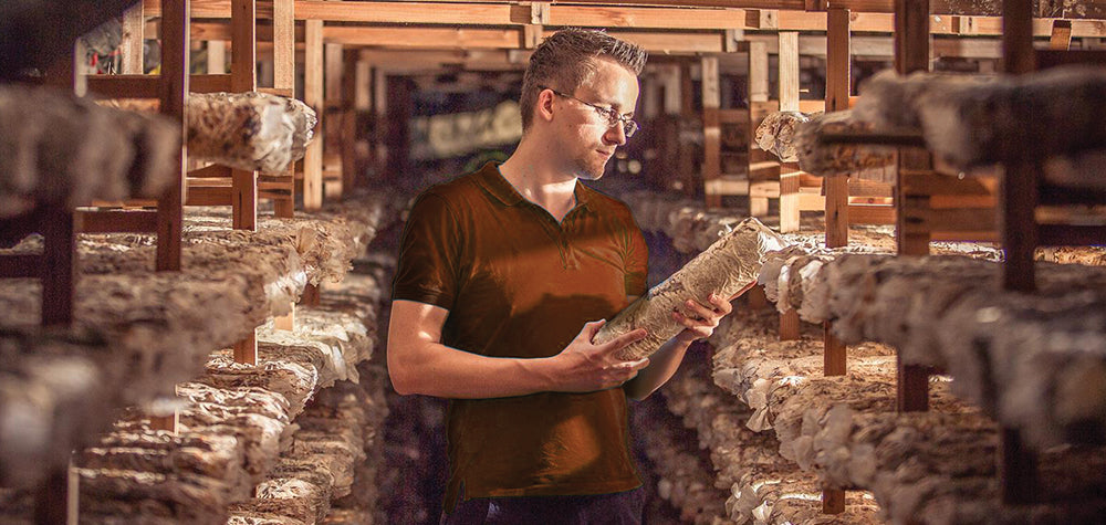 Benjamin Hawlik betrachtet auf einer Farm Vitalpilz Anzuchtmaterial 